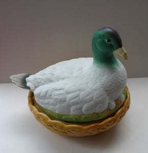 Rare ANTIQUE Staffordshire Bisque DUCK on a NEST. Victorian era; and in excellent condition