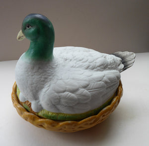 Rare ANTIQUE Staffordshire Bisque DUCK on a NEST. Victorian era; and in excellent condition