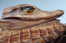 Load image into Gallery viewer, 1950s Vintage Miniature Genuine Alligator Handbag or Handled Purse
