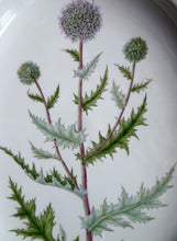 Load image into Gallery viewer, ROYAL COPENHAGEN Flora Danica Echinops Sphaerocephalus
