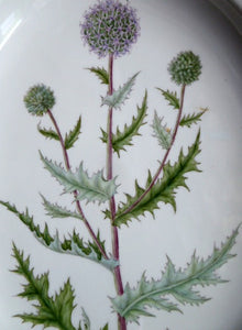 ROYAL COPENHAGEN Flora Danica Echinops Sphaerocephalus