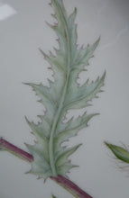 Load image into Gallery viewer, ROYAL COPENHAGEN Flora Danica Echinops Sphaerocephalus
