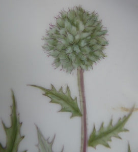 ROYAL COPENHAGEN Flora Danica Echinops Sphaerocephalus