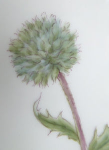 ROYAL COPENHAGEN Flora Danica Echinops Sphaerocephalus