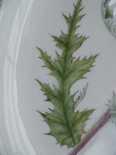 Load image into Gallery viewer, ROYAL COPENHAGEN Flora Danica Echinops Sphaerocephalus
