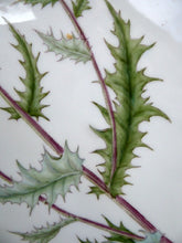 Load image into Gallery viewer, Fine Vintage ROYAL COPENHAGEN Flora Danica Oval Serving Platter
