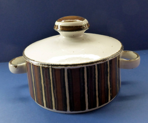 Vintage Midwinter Stoneware Tureen. Rare Earth Pattern