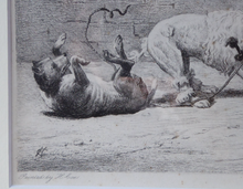Load image into Gallery viewer, Satirical Print Engraving by Mansell after Harding Cox. Tug of War
