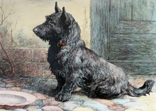 Load image into Gallery viewer, Herbert Thomas Dicksee Original Print Forgotten Scottish Terrier

