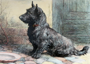 Herbert Thomas Dicksee Original Print Forgotten Scottish Terrier