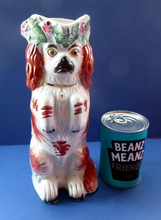 Load image into Gallery viewer, Cute ANTIQUE STAFFORDSHIRE 19th Century Tall Spaniel Dog Jug or Pitcher
