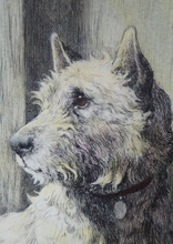 Load image into Gallery viewer, Herbert Thomas Dicksee Etching of West Highland Terrier Westie 1920s

