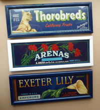 Load image into Gallery viewer, Vintage 1940s American Fruit Box Labels Framed
