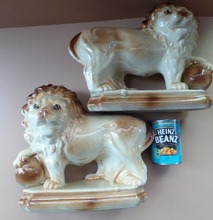 Load image into Gallery viewer, LARGE PAIR of ANTIQUE Staffordshire Style Medici Lions with front paw on ball. 14 inches in length
