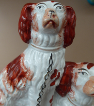 Load image into Gallery viewer, Antique Staffordshire King Charles Spaniel Dogs Sitting on Top of a Barrel. Genuine Victorian Figurine
