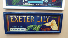 Load image into Gallery viewer, Vintage 1940s American Fruit Box Labels Framed
