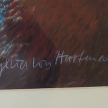 Load image into Gallery viewer, Sylvia von Hartmann Pencil Signed Lithograph White Horse Close Edinburgh
