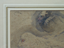 Load image into Gallery viewer, Scottish Art for Sale. Edwin Alexander Watercolour Painting of a White Dove
