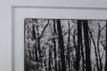Load image into Gallery viewer, Norman McBeath Artist&#39;s Proof Photogravure. Trees in a Wood Signed
