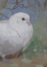 Load image into Gallery viewer, Scottish Art for Sale. Edwin Alexander Watercolour White Dove
