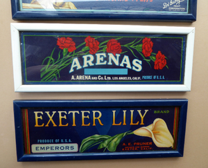 Vintage 1940s American Fruit Box Labels Framed