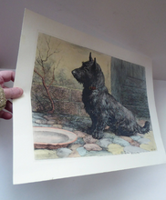 Load image into Gallery viewer, Herbert Thomas Dicksee Original Print Forgotten Scottish Terrier
