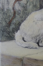 Load image into Gallery viewer, Herbert Thomas Dicksee Etching of West Highland Terrier Westie 1920s
