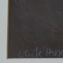 Load image into Gallery viewer, Sylvia von Hartmann Pencil Signed Lithograph White Horse Close Edinburgh
