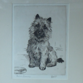 Marion Harvey Etching of a Cairn Terrier called Sandy