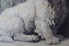 Load image into Gallery viewer, Herbert Thomas Dicksee Etching of West Highland Terrier Westie 1920s
