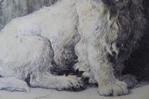 Herbert Thomas Dicksee Etching of West Highland Terrier Westie 1920s