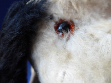 Load image into Gallery viewer, 1950s British CHILTERN Dog Soft Toy
