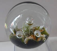 Load image into Gallery viewer, Collectable Vintage 1983 COLIN TERRIS Caithness Glass Paperweight: Sea Dance
