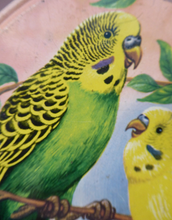 Load image into Gallery viewer, Peek Freans Round Biscuit Tin with Budgie Design

