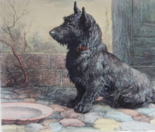 Load image into Gallery viewer, Herbert Thomas Dicksee Original Print Forgotten Scottish Terrier
