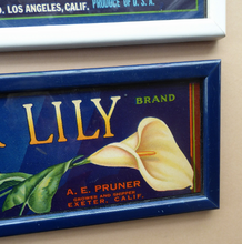 Load image into Gallery viewer, Vintage 1940s American Fruit Box Labels Framed
