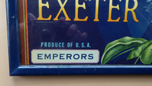 Load image into Gallery viewer, Vintage 1940s American Fruit Box Labels Framed
