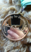 Load image into Gallery viewer, Vintage STEIFF Danbury Mint BEAR. Long Curly Auburn Mohair. Issue 669521
