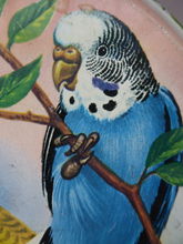 Load image into Gallery viewer, Peek Freans Round Biscuit Tin with Budgie Design

