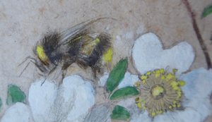 Kate Cameron Signed Watercolour Bees and Flowers Framed
