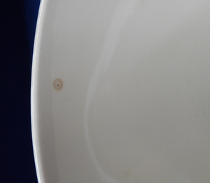 1960s NORWEGIAN CLUPEA (Herring) Design. RARE Large Serving Bowl. Figgjo Flint, Turi Design 