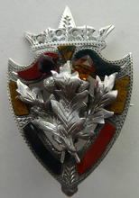 Load image into Gallery viewer, Antique 1901 SILVER BROOCH. Large Shield Brooch with Agates and Overlaid Silver Thistle. Adie Lovekin Ltd
