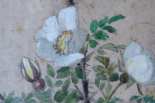 Load image into Gallery viewer, Kate Cameron Signed Watercolour Bees and Flowers Framed
