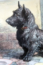 Load image into Gallery viewer, Herbert Thomas Dicksee Original Print Forgotten Scottish Terrier
