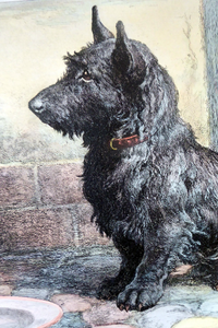 Herbert Thomas Dicksee Original Print Forgotten Scottish Terrier