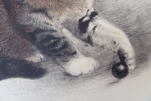 Load image into Gallery viewer, Pencil Signed Etching by Kurt Meyer-Eberhardt Kitten Playing with a Ball
