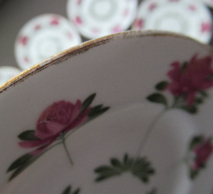 Set of Antique Royal Doulton Tea Plates 
