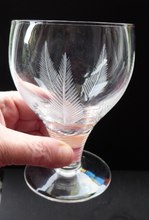 Load image into Gallery viewer, Rarer Set of Five STUART CRYSTAL WOODCHESTER Gin &amp; Tonic Glasses. With Engraved Fern Design. Signed
