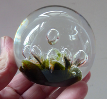 Load image into Gallery viewer, Collectable Vintage 1983 COLIN TERRIS Caithness Glass Paperweight: Sea Dance
