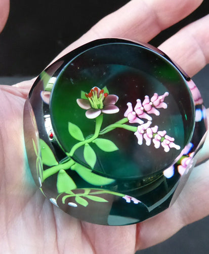 Woodland Flowers William Manson 1994 Scottish Paperweight